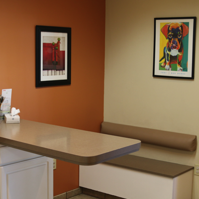 Are exam rooms were designed with you and your pet in mind.